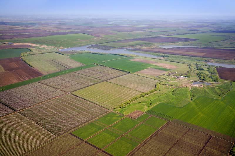 На Харківщині фермер незаконно орендував землю комунальної власності вартістю 28 млн грн