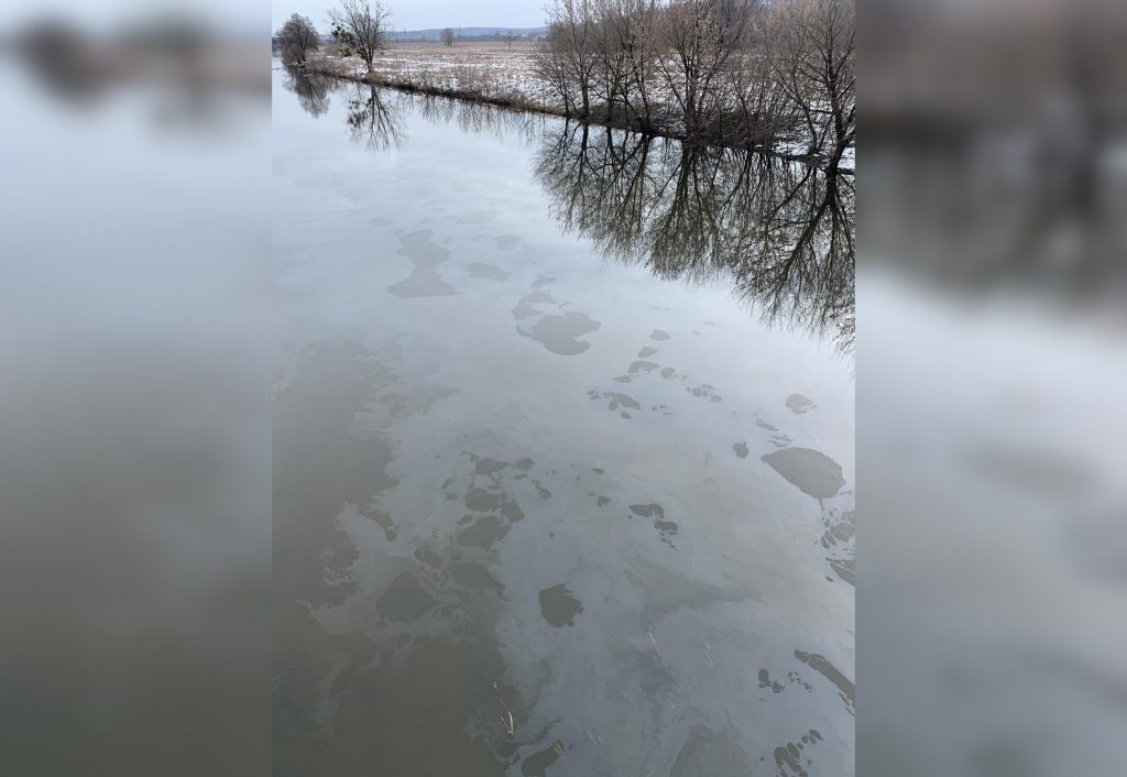 У Держекоінспекції прокоментували забруднення річок Харкова нафтопродуктами