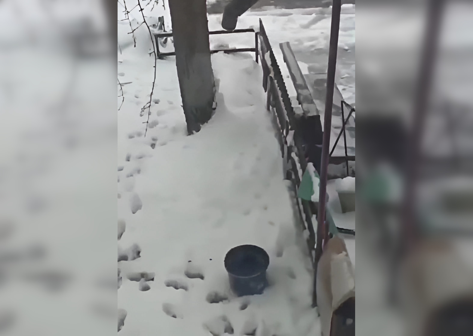 У селищі під Харковом тиждень немає води: люди топлять сніг