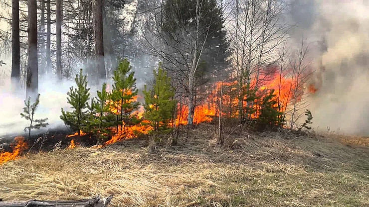 За минулу добу на Харківщині сталося 50 пожеж у природних екосистемах