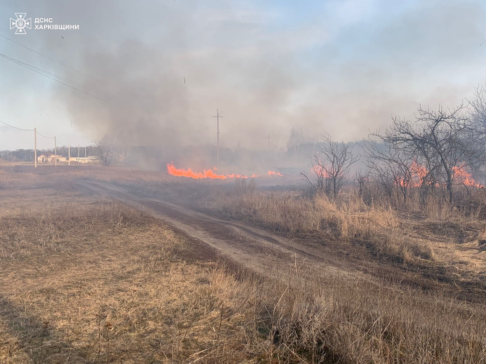 У Харківському районі під час випалювання трави вогонь перекинувся на будинки