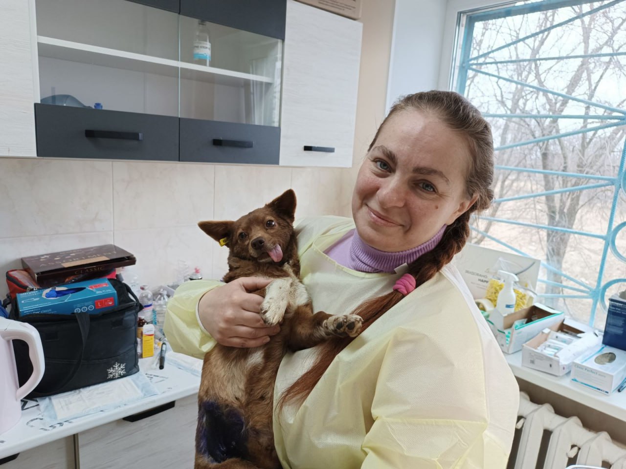 На Харківщині розпочалася стерилізація та вакцинація безпритульних тварин