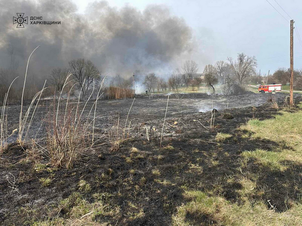 114 пожеж в екосистемах загасили рятувальники на Харківщині за добу