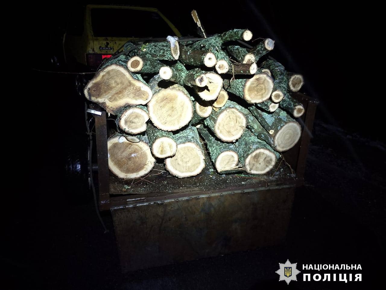 По 5 років тюрми загрожує двом жителям Харківщини за п’ять зрубаних дерев