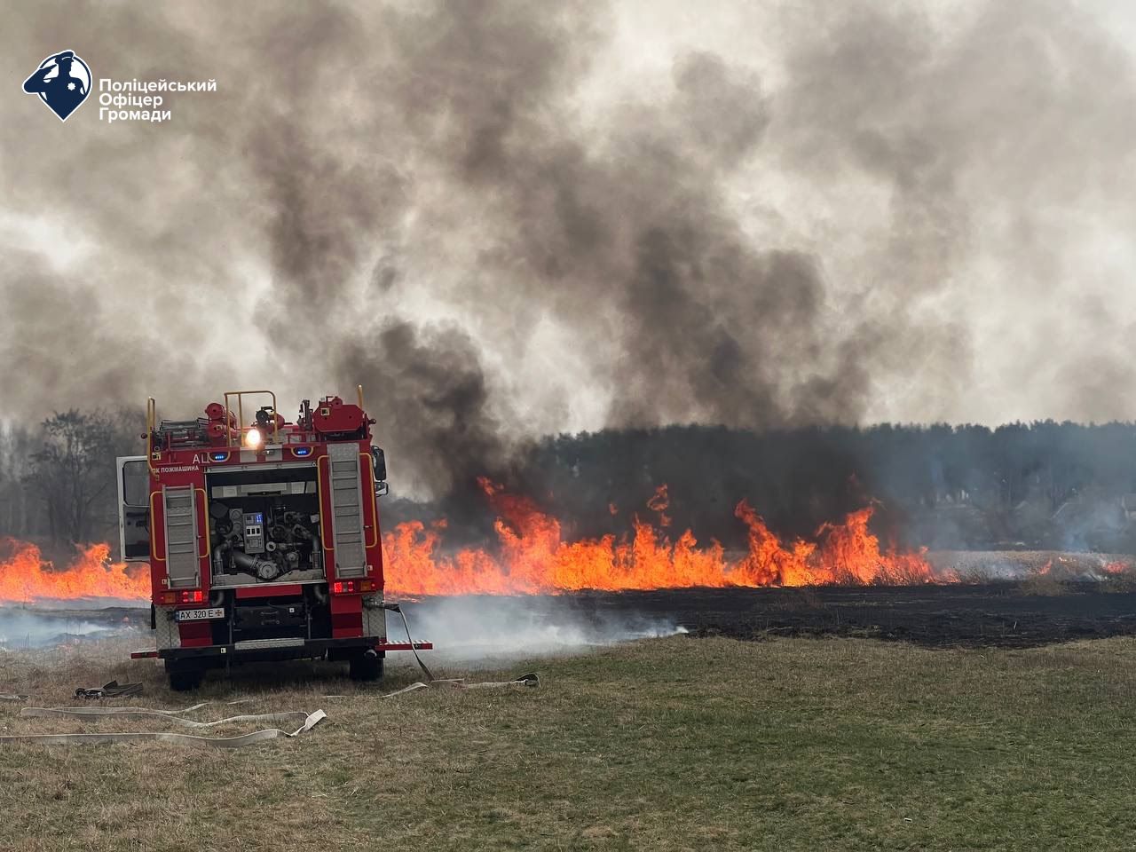 На Харківщині жінка спалила поле площею 10 га