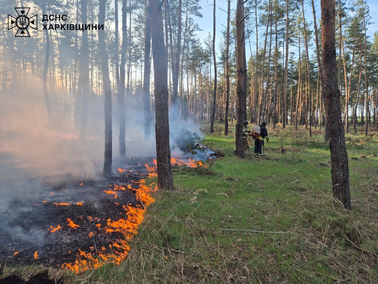 На Харківщині окупанти підпалили ліс поряд із двома селами