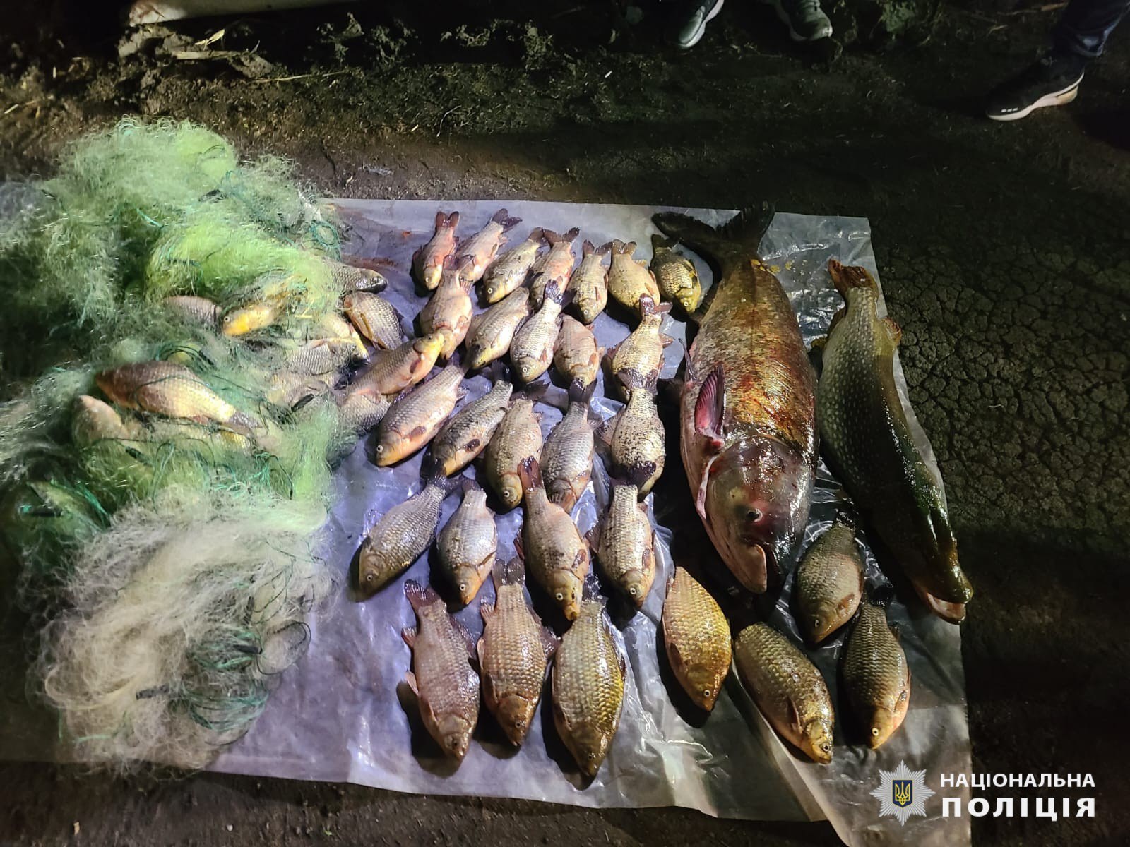 На Харківщині затримали браконьєра з сітками та рибою