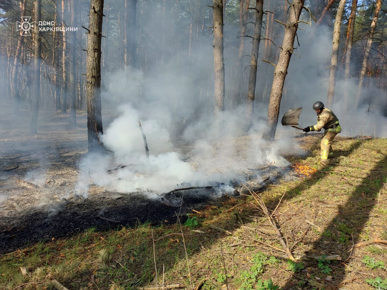 На Харківщині рятувальники запобігли масштабній лісовій пожежі