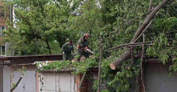 Повалені дерева, обірвані дроти та пошкоджені дахи: наслідки негоди у Харкові