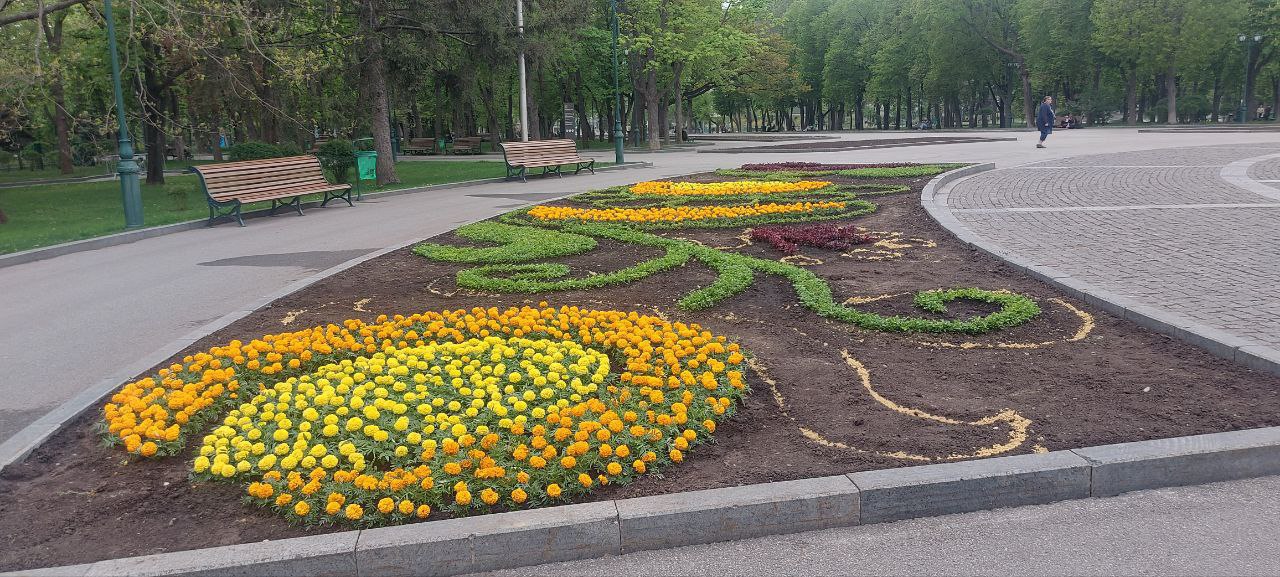 У Харкові продовжують прикрашати квітами парки та клумби