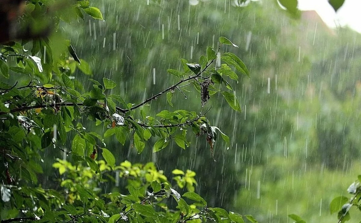 Короткочасний дощ, гроза: прогноз погоди по Харкову на 23 червня