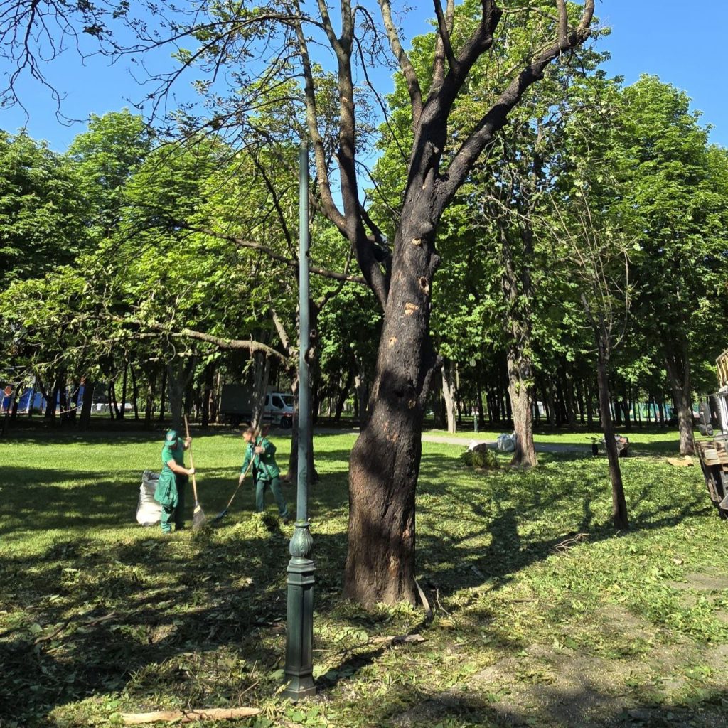 Знищено вісім дерев-велетнів: у Центральному парку Харкова ліквідовують наслідки обстрілу 7