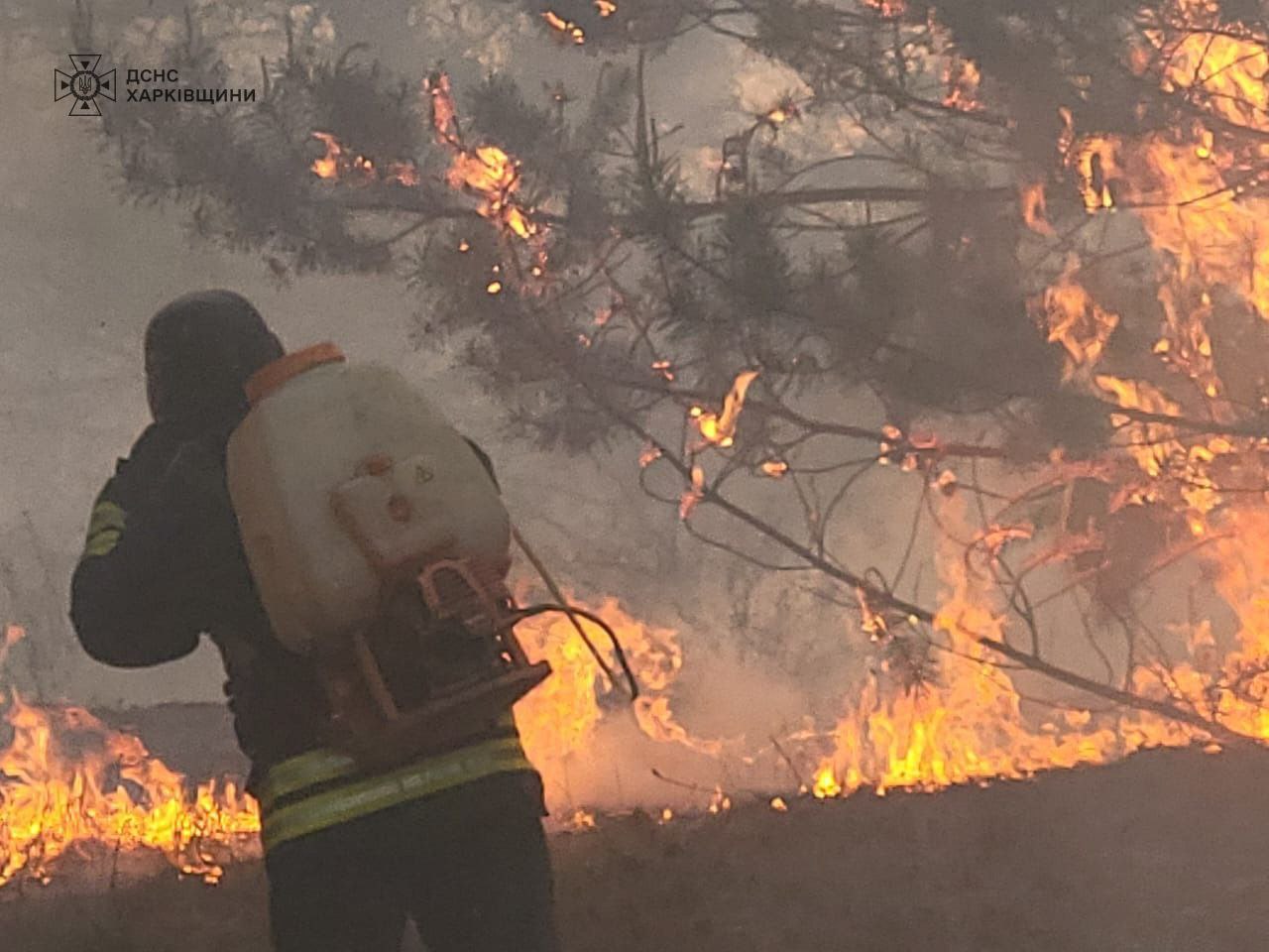 На Харківщині обстріли окупантів призвели до масштабної лісової пожежі