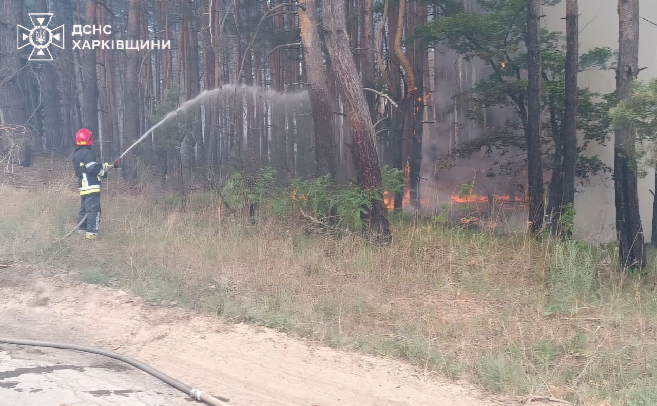 На Харківщині вирують лісові пожежі: для гасіння залучено близько 130 рятувальників