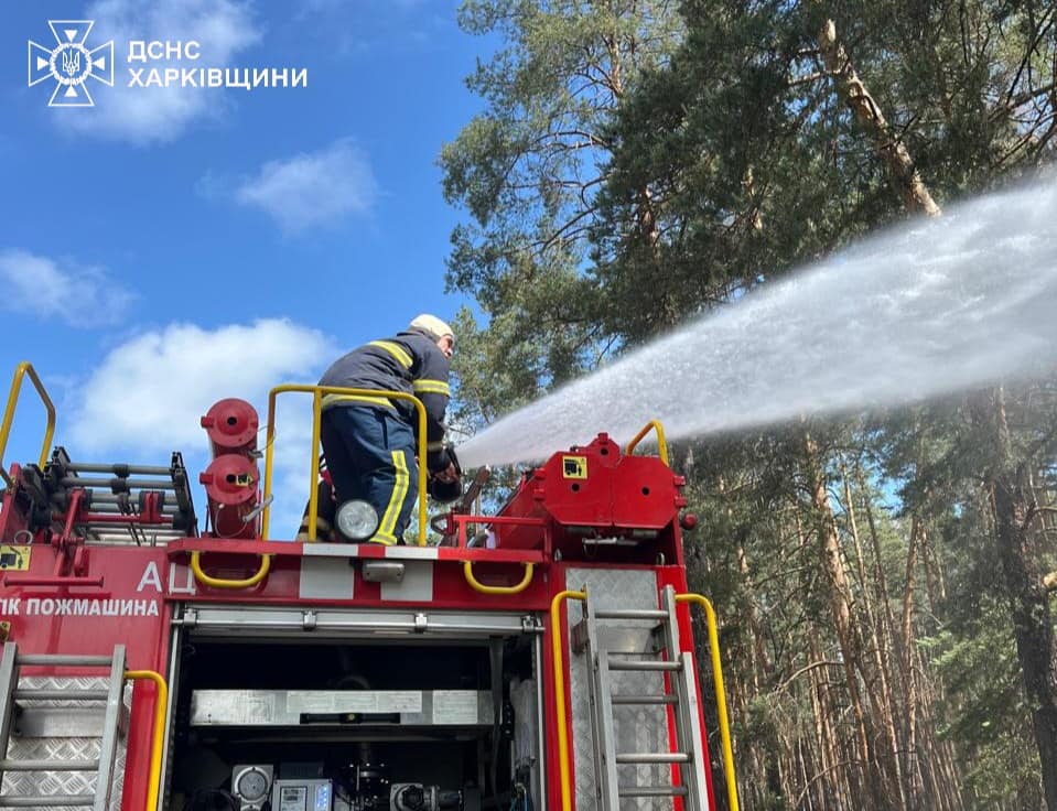 На Харківщині горять ліси: сім пожеж охопили площу понад 3900 га 9