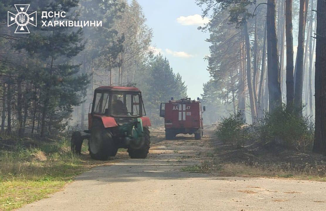 На Харківщині після обстрілу горить Старосалтівське лісництво