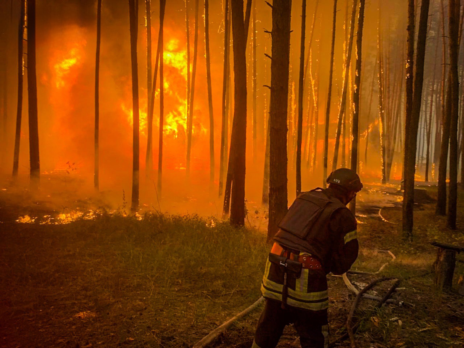 Масштабні лісові пожежі на Харківщині: охоплена вогнем площа збільшилася до 4300 га