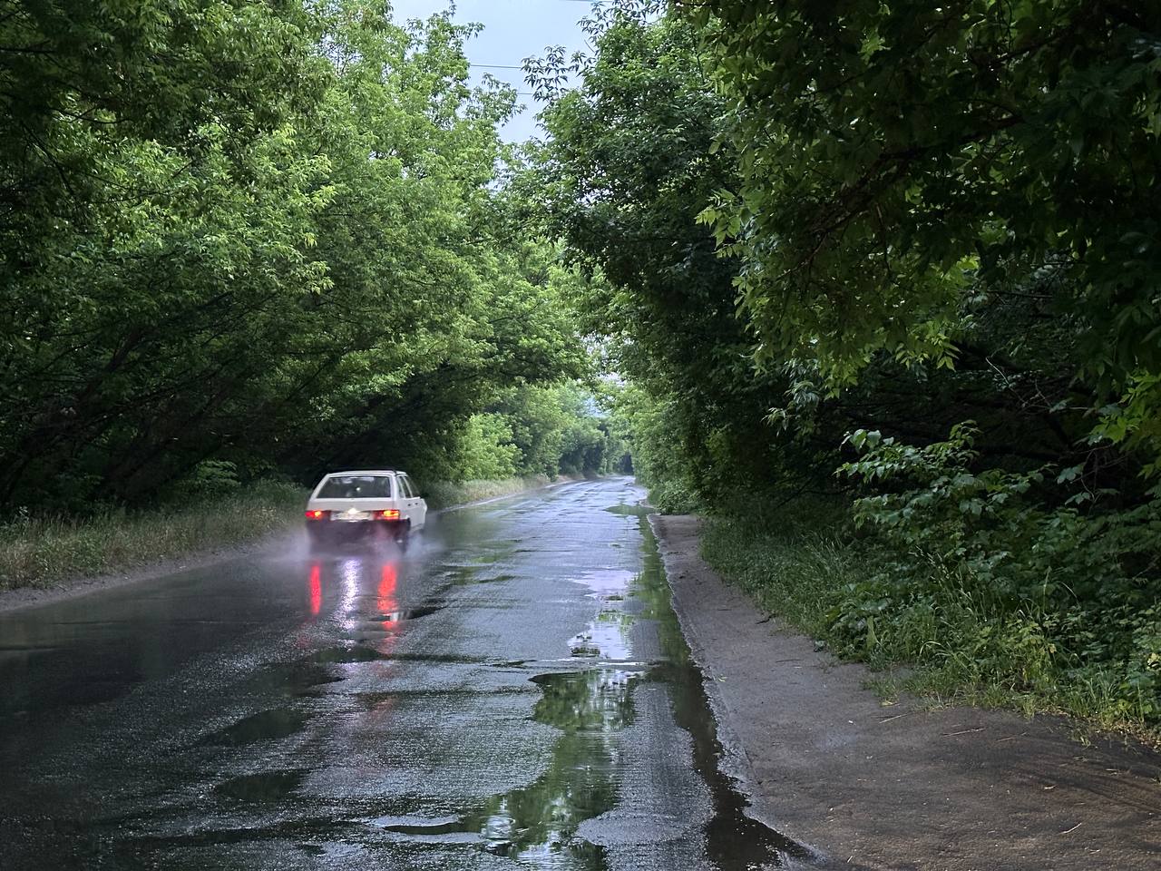 Короткочасний дощ із грозою, до 36 градусів тепла: погода у Харкові 5 липня