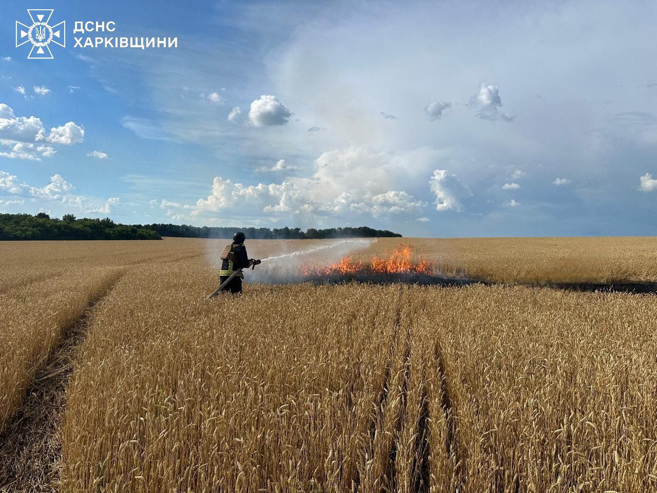 Окупанти обстріляли пшеничне поле на Харківщині: сталася пожежа