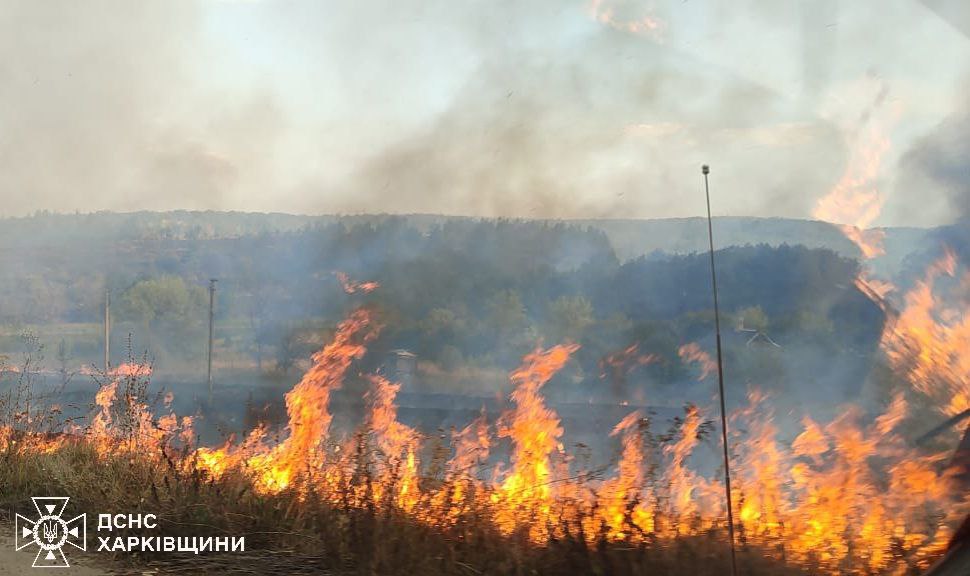 Окупанти вдарили по селу Замулівка на Харківщині: сталися пожежі