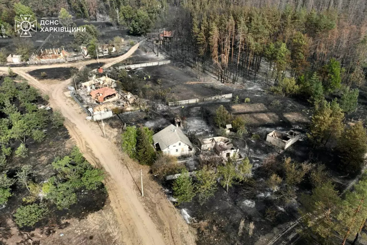 Ситуація щодо постраждалих від пожежі у селі Студенок на Харківщині – Синєгубов