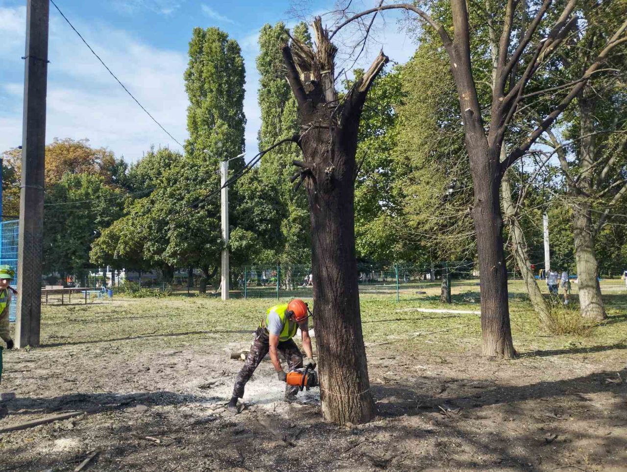 «Шахед» окупантів вибухнув у Харкові вночі, зачепившись за дерево: комунальники усувають наслідки