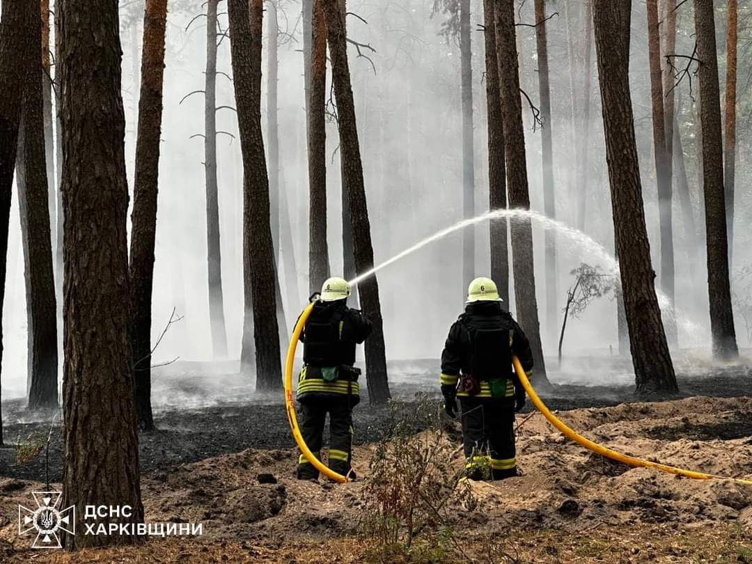 10 лісових пожеж вирують на Харківщині: триває ліквідація