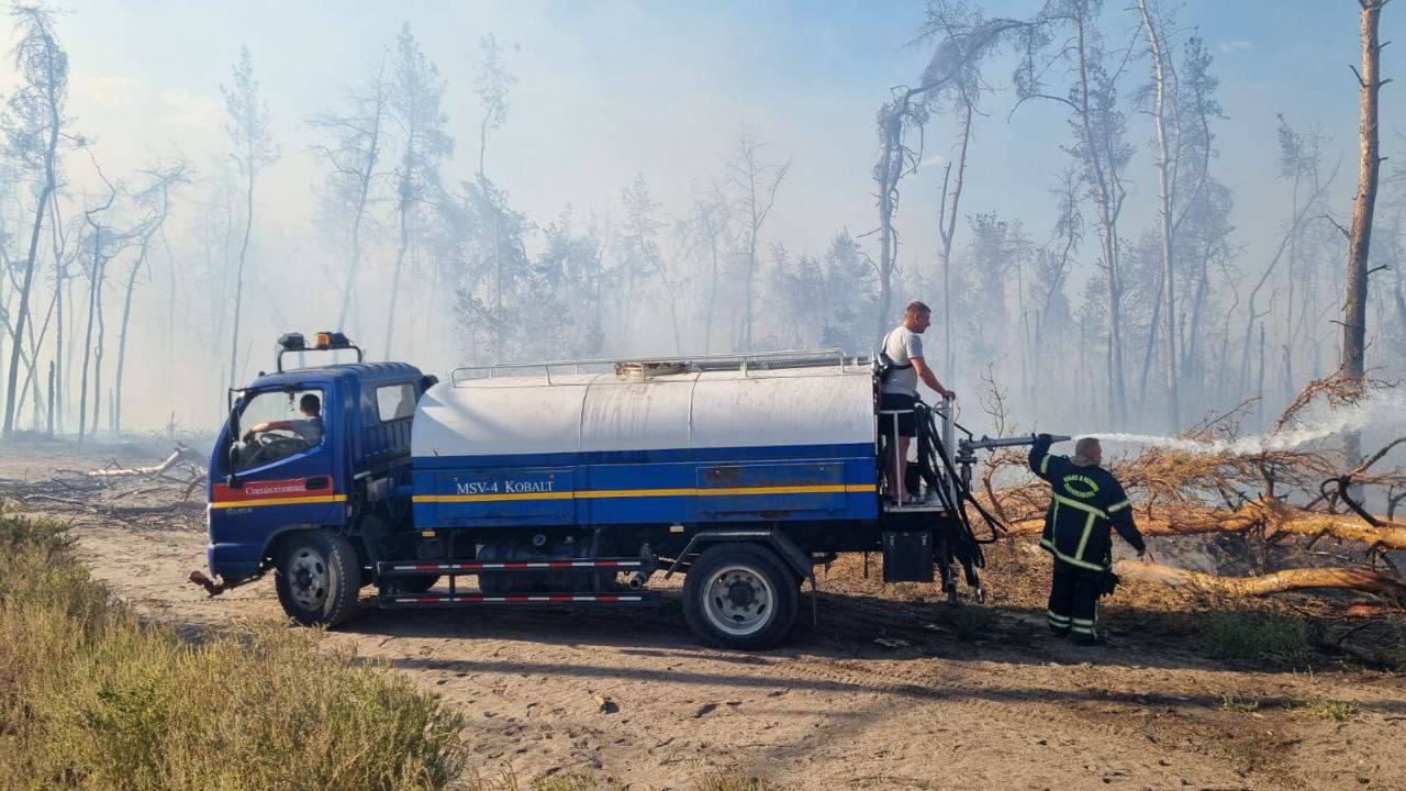 Пожежу біля Журавлівського гідропарку у Харкові локалізовано (фото)