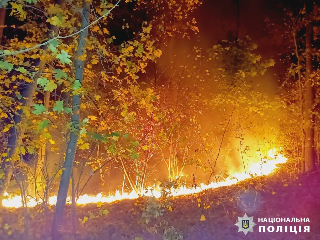 Через обстріли Харківщини один чоловік загинув, ще вісім людей дістали поранення