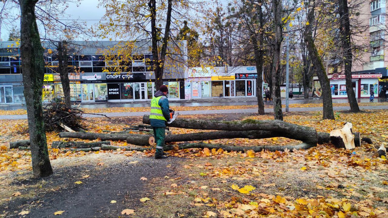 У Харкові комунальники усувають наслідки негоди